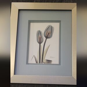 Albert Koetsier blue tulips framed picture